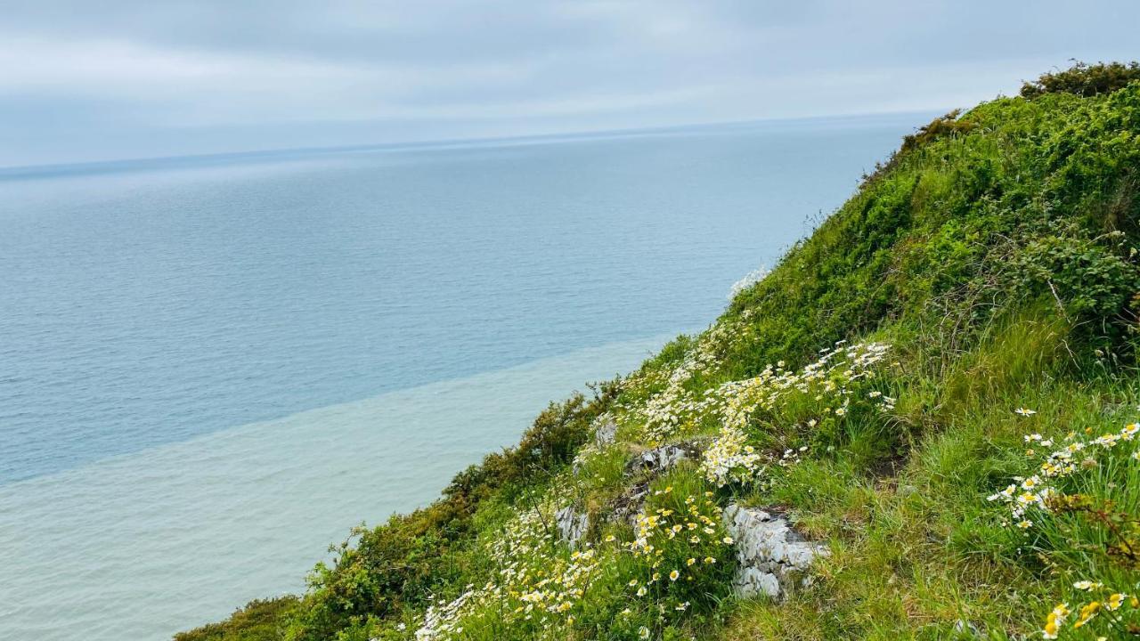 Gordy Hall -Sea Facing Welsh Cottage With Stunning Views Pendine Buitenkant foto
