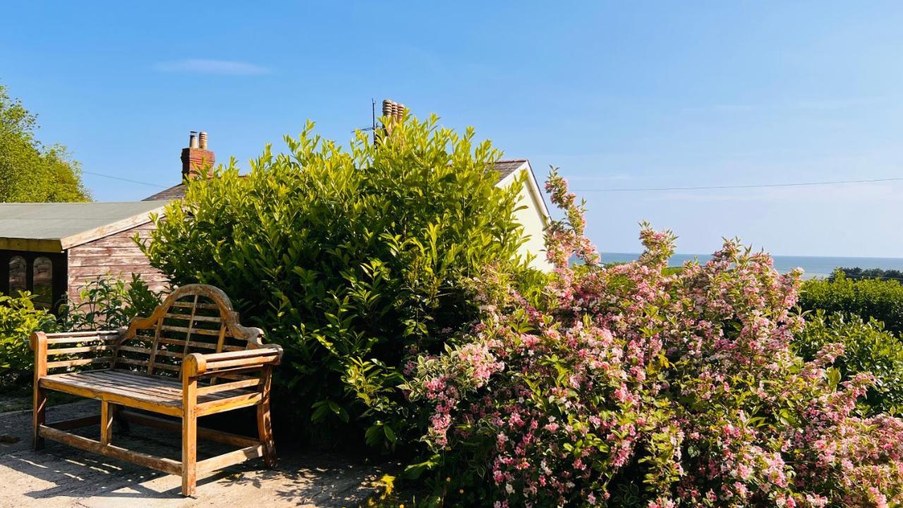 Gordy Hall -Sea Facing Welsh Cottage With Stunning Views Pendine Buitenkant foto